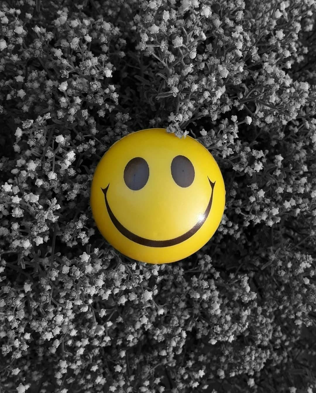A yellow smiley face stress ball sitting among delicate flowers.